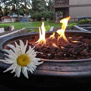 Meet your Posher, Ellie